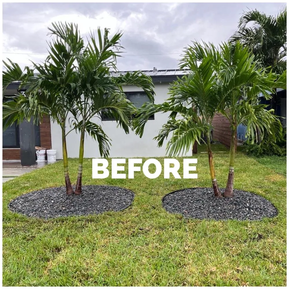 Professional outdoor landscaping in Fort Lauderdale, FL by Majabe Property Maintenance