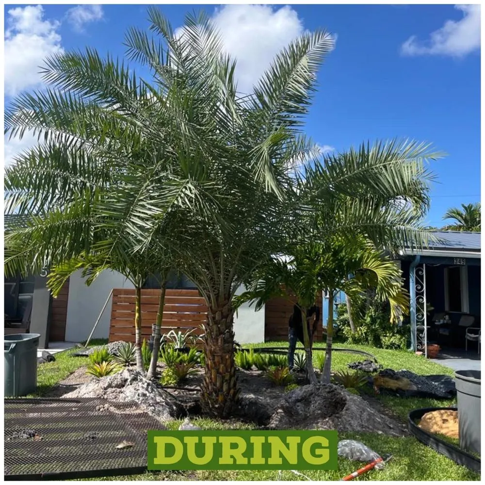 Affordable lawn mowing service in Fort Lauderdale, FL - Majabe Property Maintenance