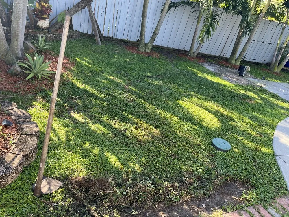 Expert yard maintenance in Fort Lauderdale, FL by Majabe Property Maintenance