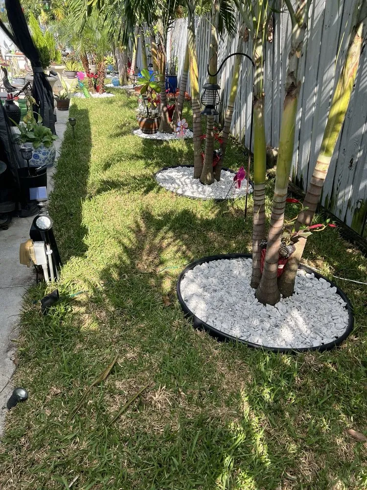 Professional landscape installation for residential properties across Fort Lauderdale, FL - Majabe Property Maintenance
