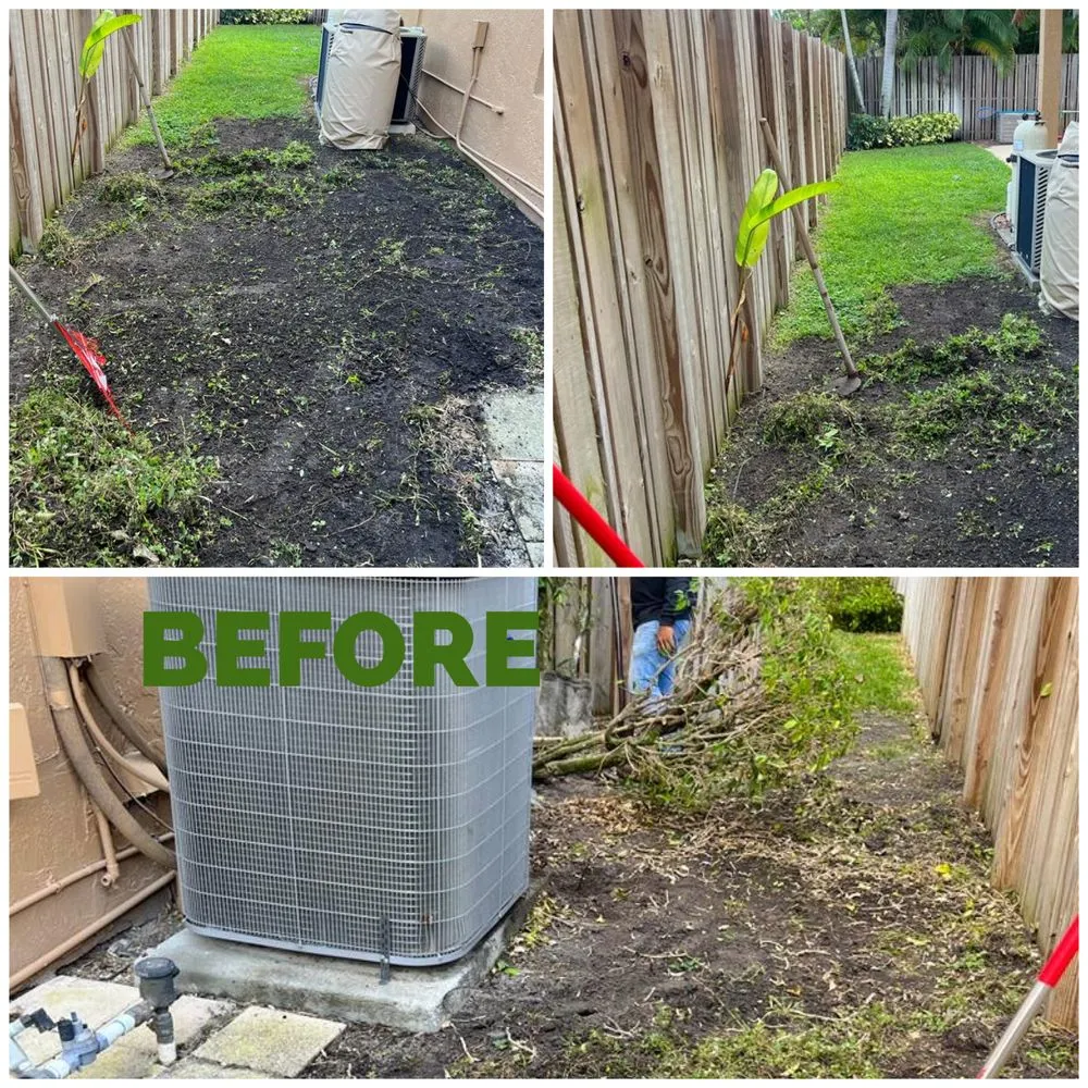 Top-rated landscape installation for residential properties in Fort Lauderdale, FL by Majabe Property Maintenance