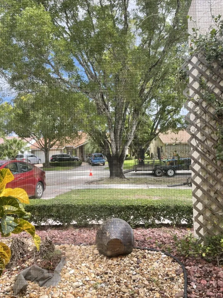 Top-rated lawn mowing service in Fort Lauderdale, FL by Majabe Property Maintenance