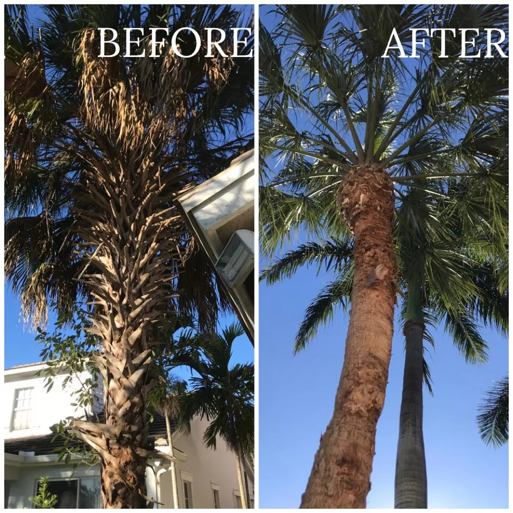 Expert lawn mowing service for outdoor upgrades across Fort Lauderdale, FL - Majabe Property Maintenance