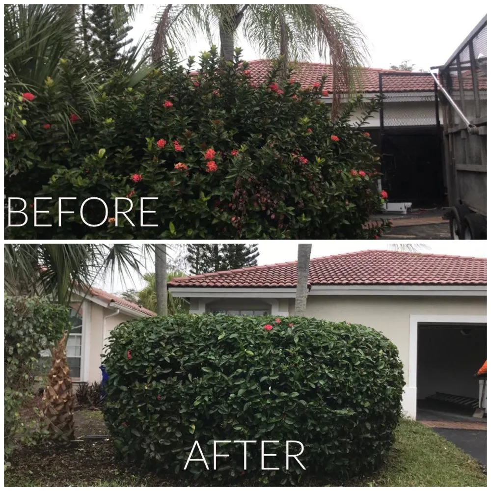 Trusted lawn mowing service near you in Fort Lauderdale, FL by Majabe Property Maintenance