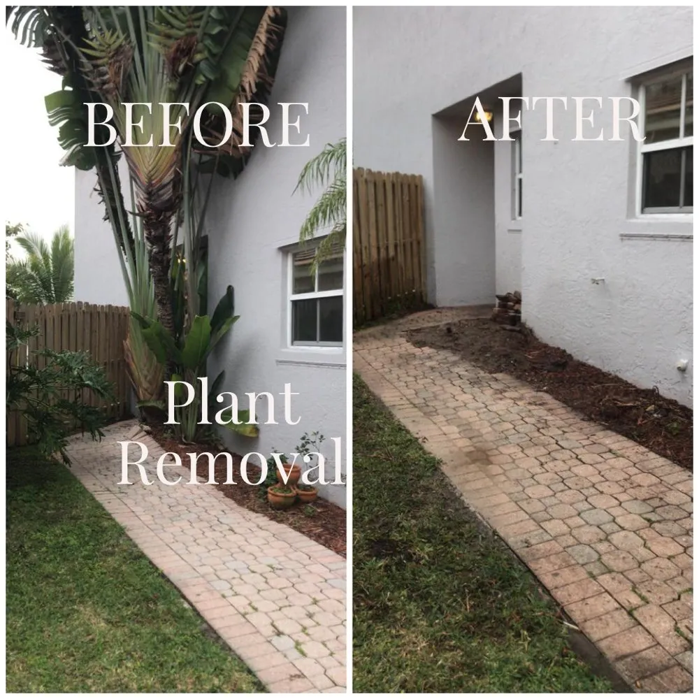 Custom garden landscaping for year-round maintenance across Fort Lauderdale, FL - Majabe Property Maintenance