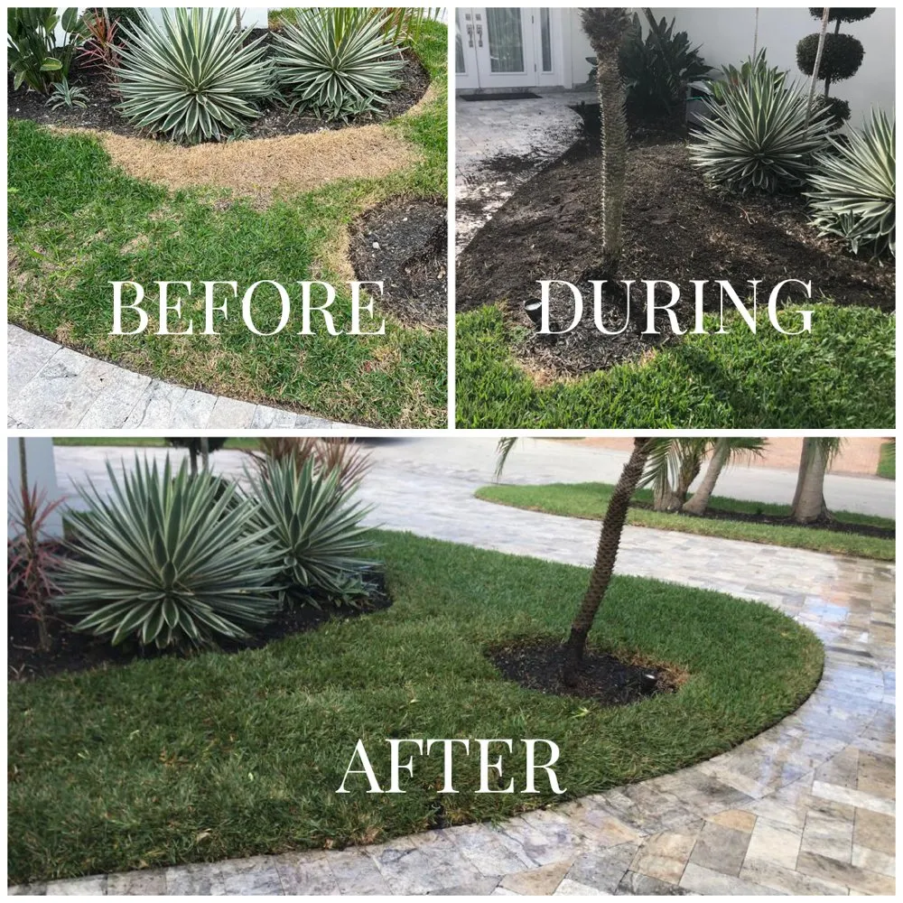 Affordable landscape design for beautiful yards across Fort Lauderdale, FL - Majabe Property Maintenance