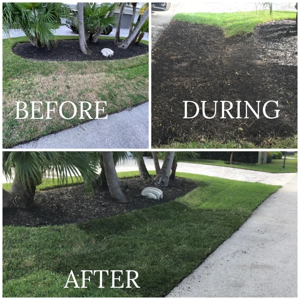 Trusted residential landscaping in Fort Lauderdale, FL - Majabe Property Maintenance