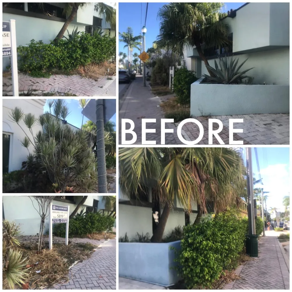 Reliable residential landscaping for year-round maintenance in Fort Lauderdale, FL by Majabe Property Maintenance