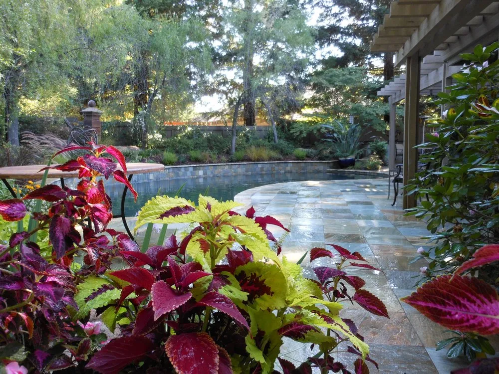 Reliable yard maintenance in Gold River, CA - Majestic Builders