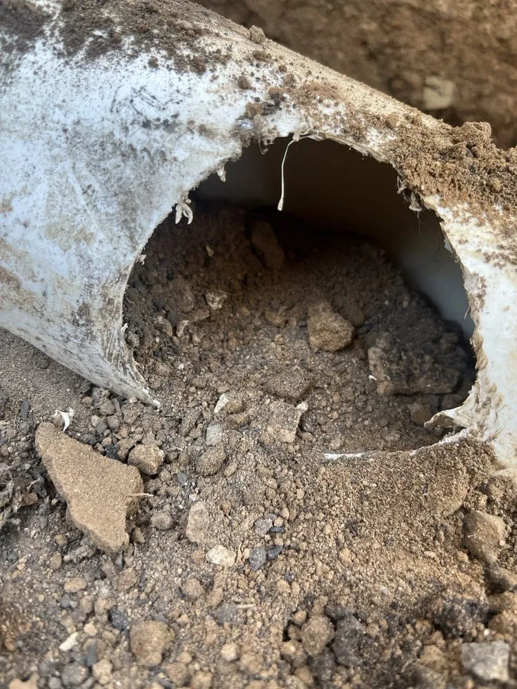 Trusted landscape design in Gold River, CA by Majestic Builders