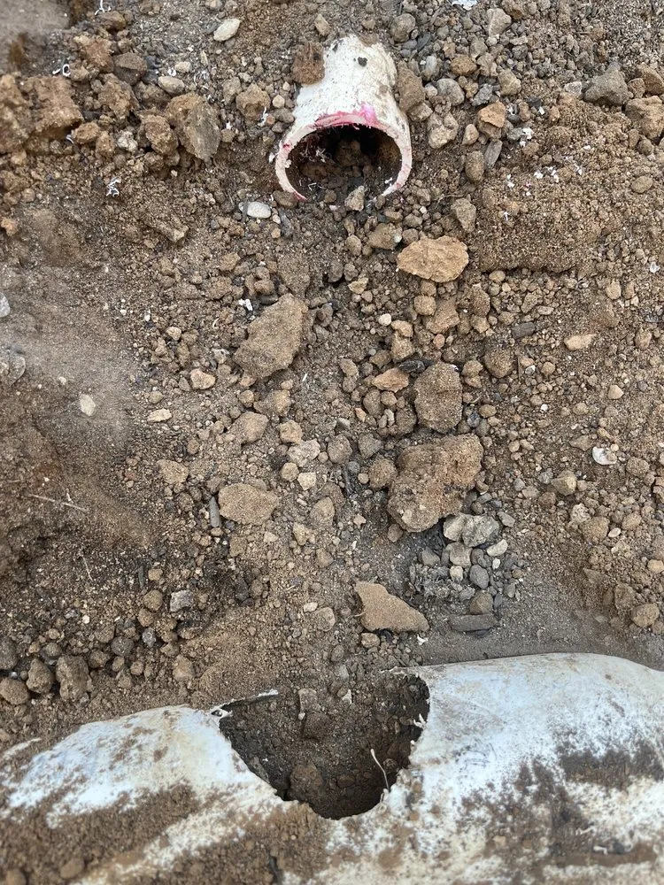 Affordable landscape installation with custom design in Gold River, CA by Majestic Builders