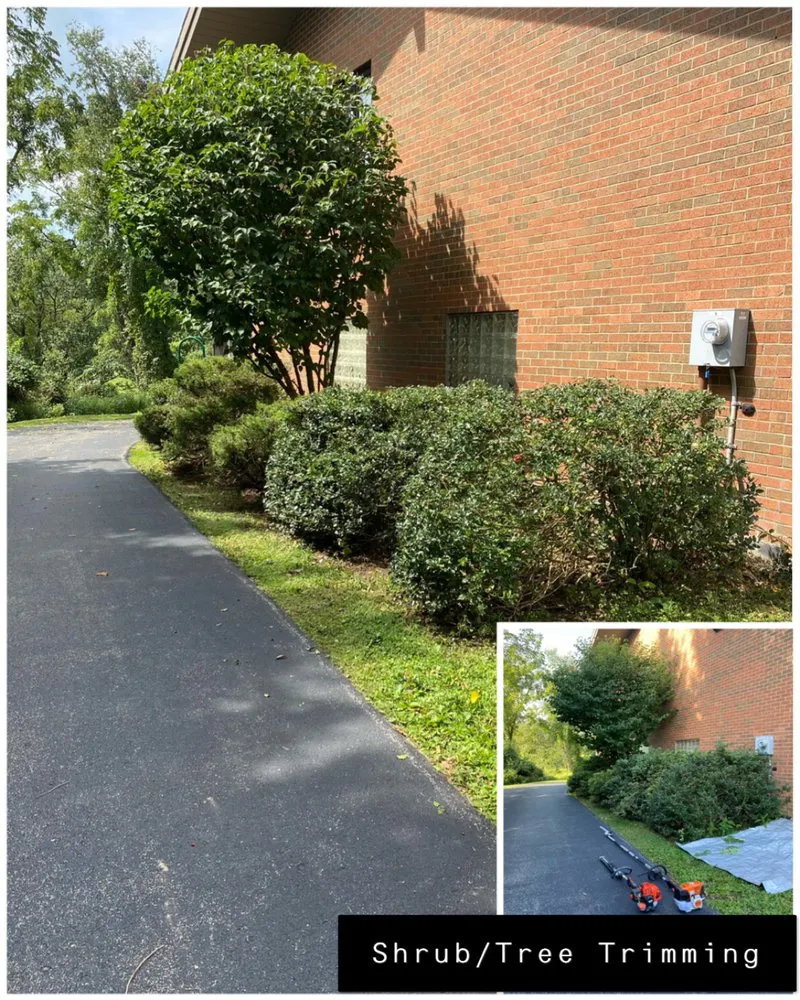 Professional yard cleanup service for outdoor upgrades across Greensburg, PA - Majestic Frontiers