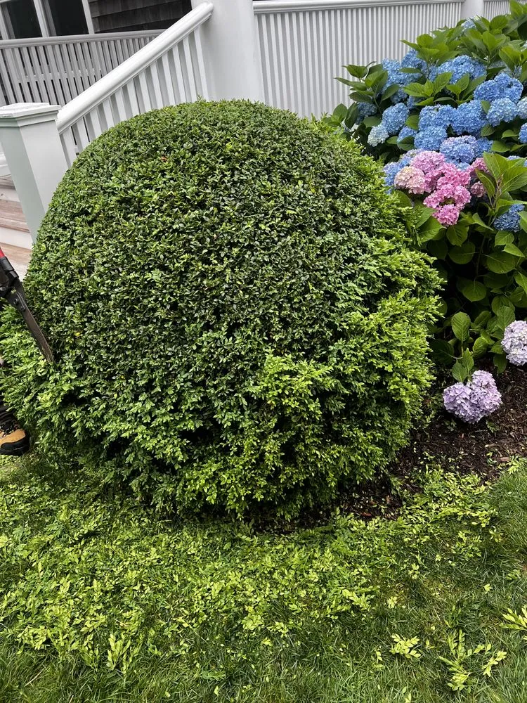 Professional landscape installation in Southampton, NY - Majestic Gardens Services