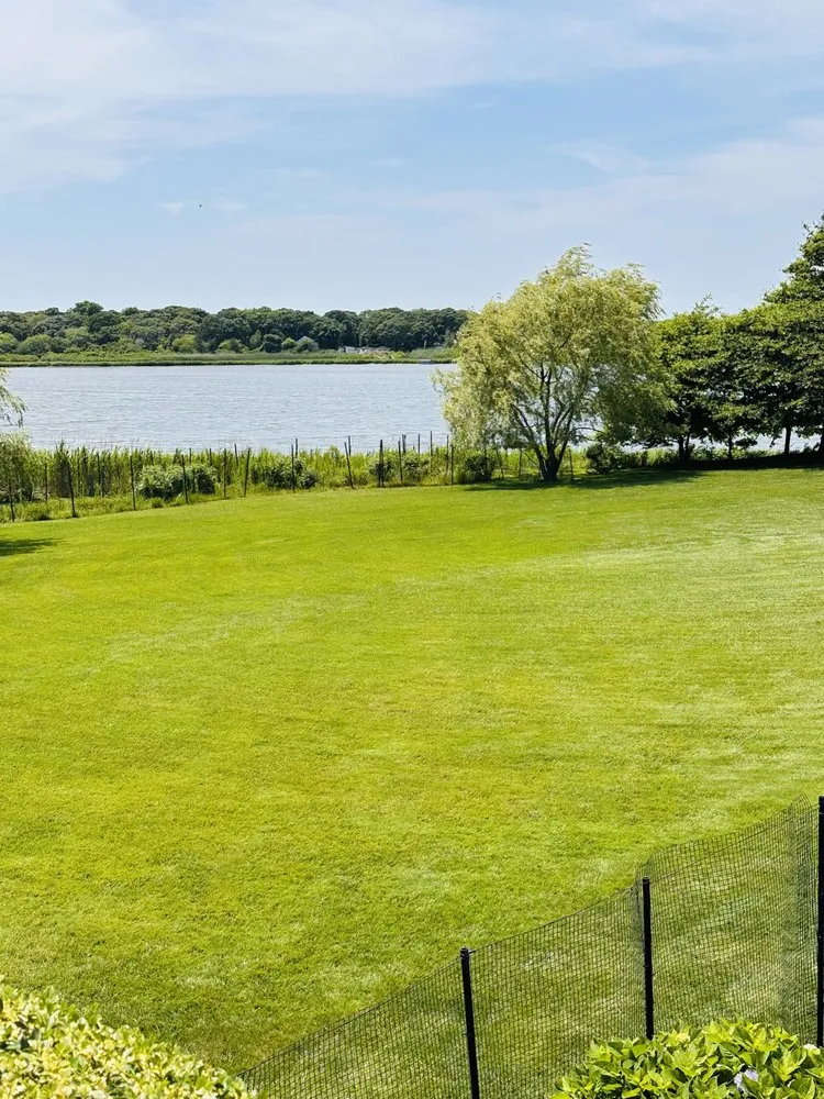 Top-rated landscape design in Southampton, NY - Majestic Gardens Services