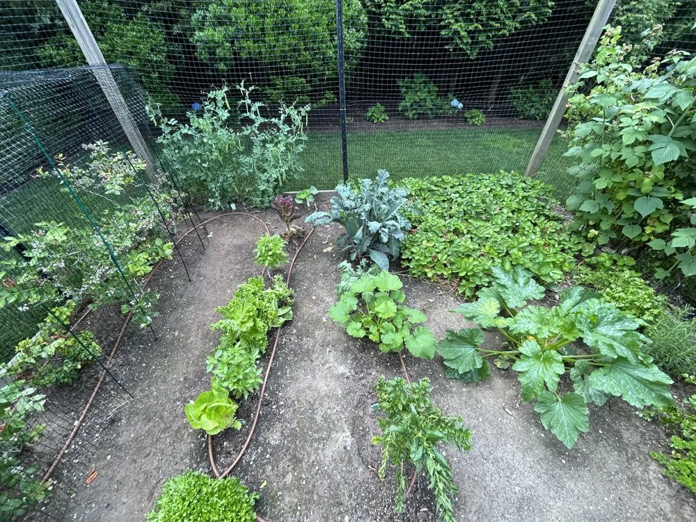 Top-rated outdoor landscaping for residential properties in Southampton, NY by Majestic Gardens Services