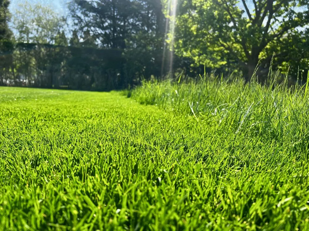 Top-rated garden landscaping in Southampton, NY by Majestic Gardens Services