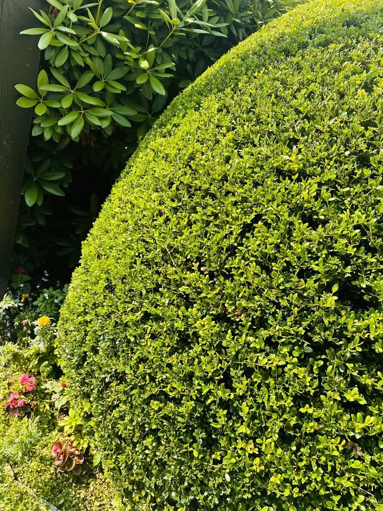 Custom outdoor landscaping in Southampton, NY by Majestic Gardens Services