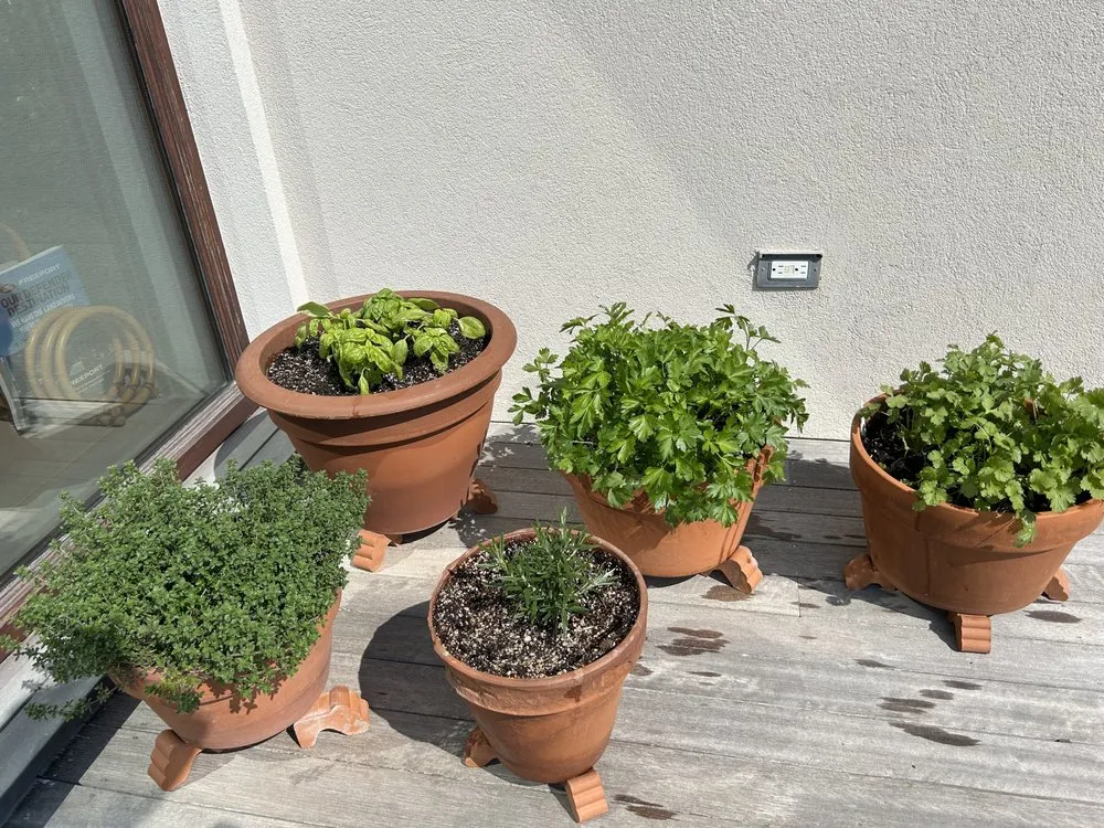 Local landscape installation in Southampton, NY by Majestic Gardens Services