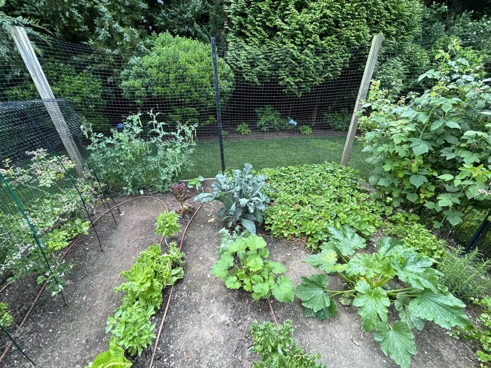 Affordable outdoor landscaping in Southampton, NY by Majestic Gardens Services