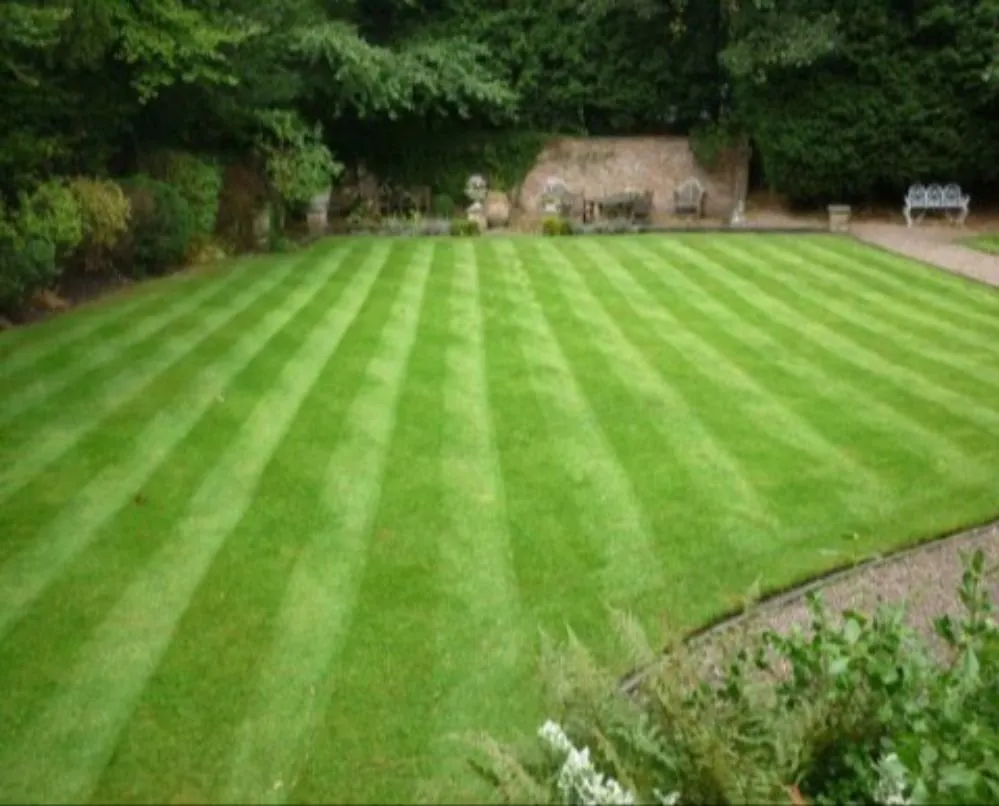 Professional lawn care service with custom design in Fuquay-Varina, NC by Majestic Green Lawncare