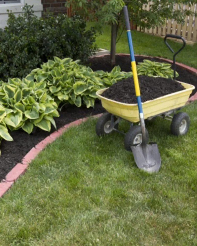 Expert yard cleanup service for year-round maintenance across Fuquay-Varina, NC - Majestic Green Lawncare