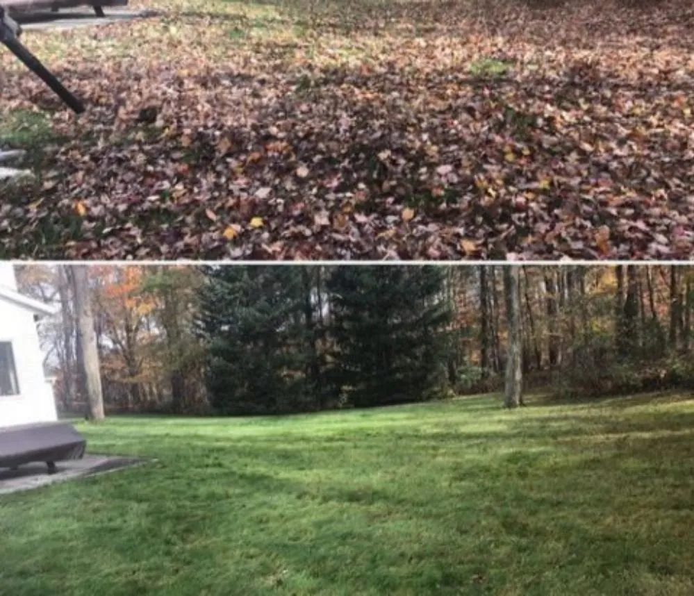 Custom yard maintenance near you across Fuquay-Varina, NC - Majestic Green Lawncare