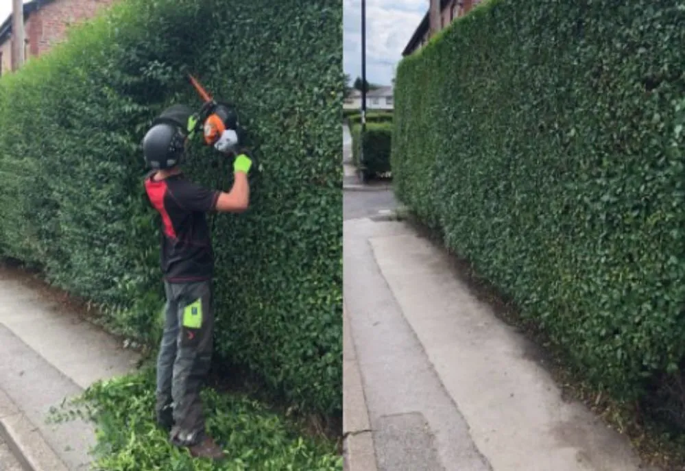 Custom residential landscaping near you across Fuquay-Varina, NC - Majestic Green Lawncare