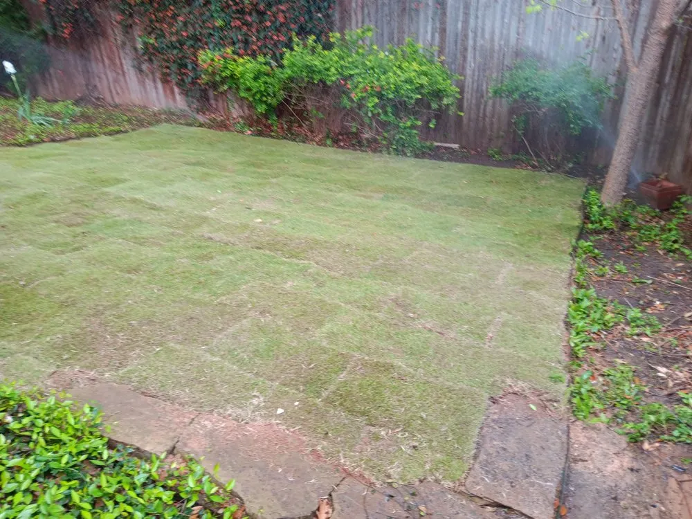 Affordable garden landscaping near you in Valley View, TX by Majestic Greens Landscaping