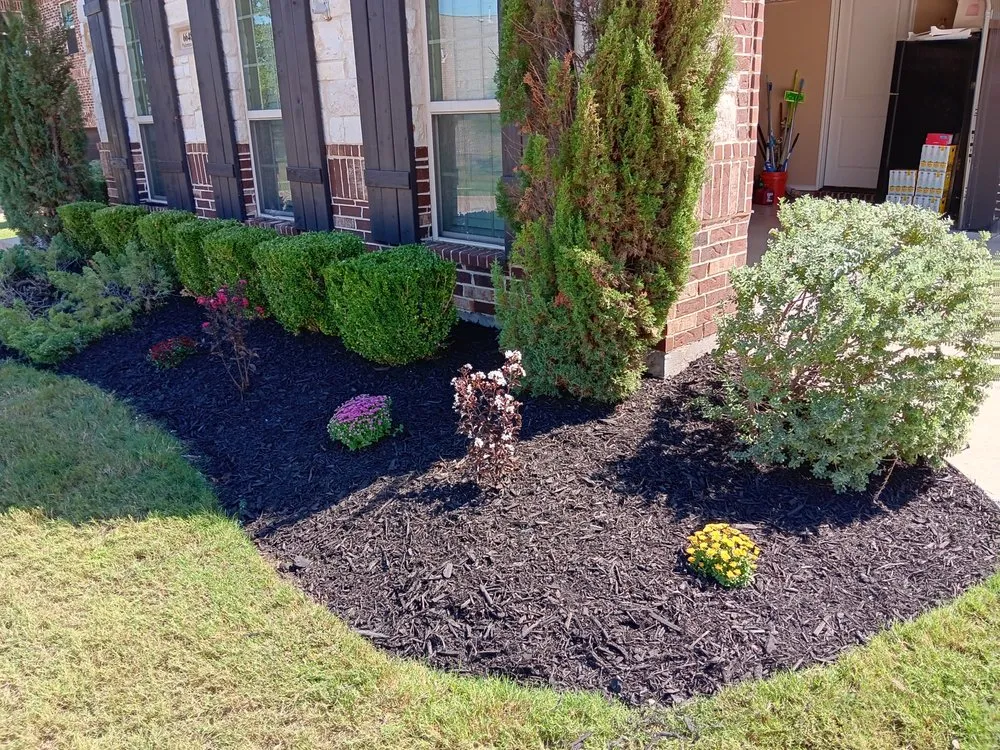Custom yard maintenance in Valley View, TX by Majestic Greens Landscaping
