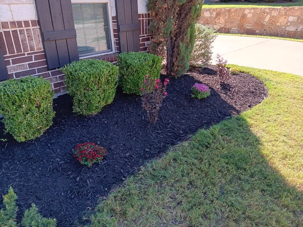 Affordable landscape design in Valley View, TX - Majestic Greens Landscaping
