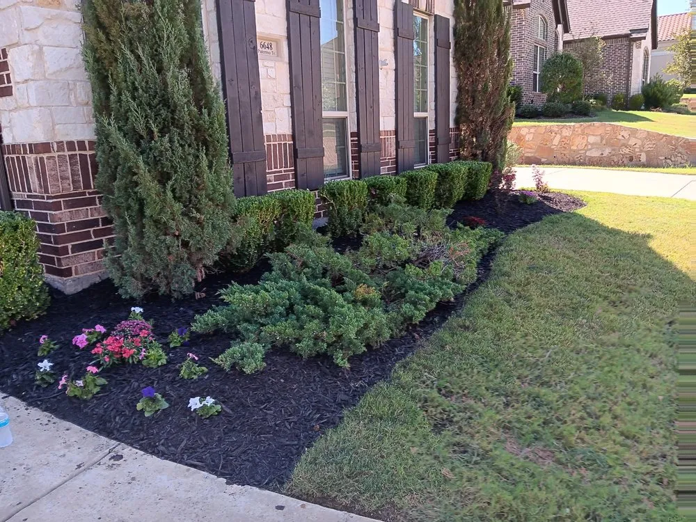 Local lawn care service in Valley View, TX - Majestic Greens Landscaping