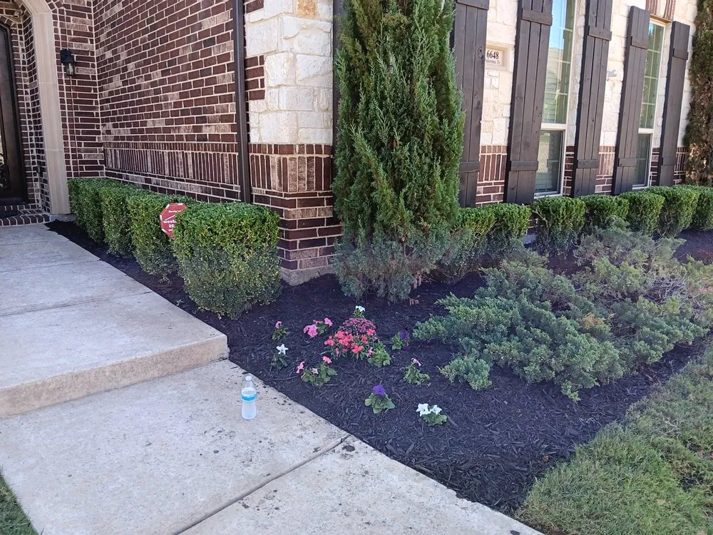 Expert yard maintenance in Valley View, TX - Majestic Greens Landscaping