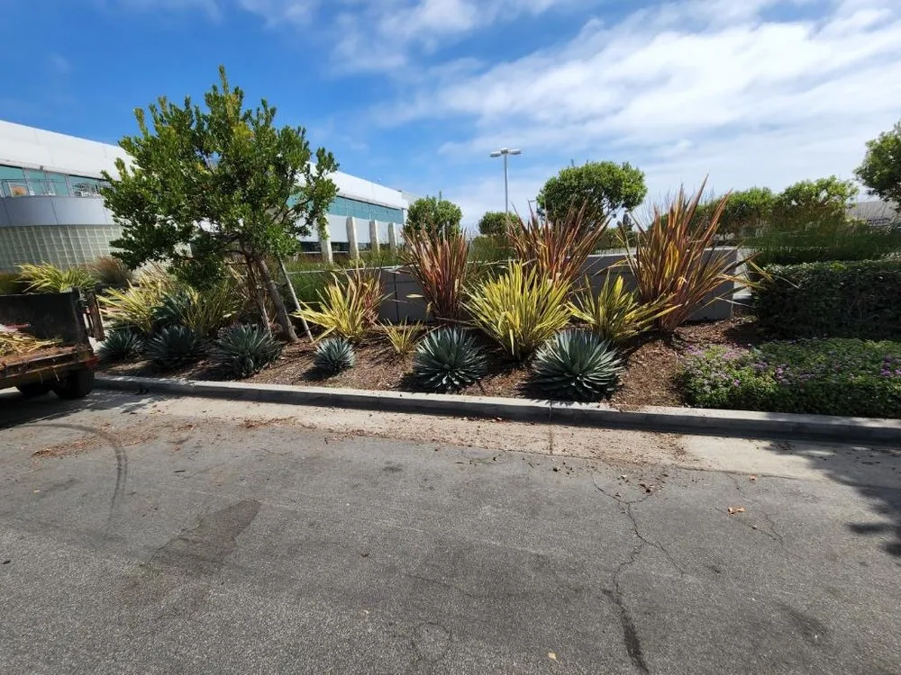 Expert lawn care service for residential properties across Whittier, CA - Majestic Landcare Management