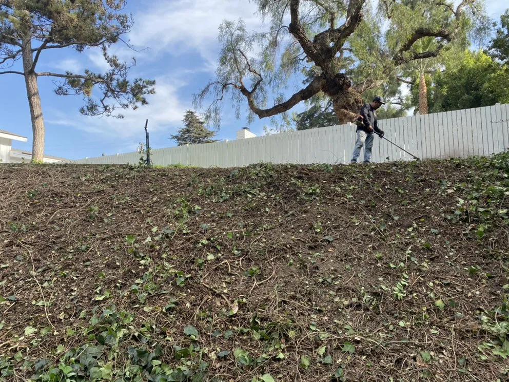Top-rated landscape design for beautiful yards across Whittier, CA - Majestic Landcare Management