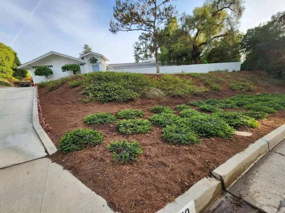 Local garden landscaping for residential properties across Whittier, CA - Majestic Landcare Management