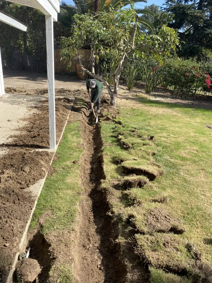 Trusted lawn mowing service experts serving Whittier, CA - Majestic Landcare Management