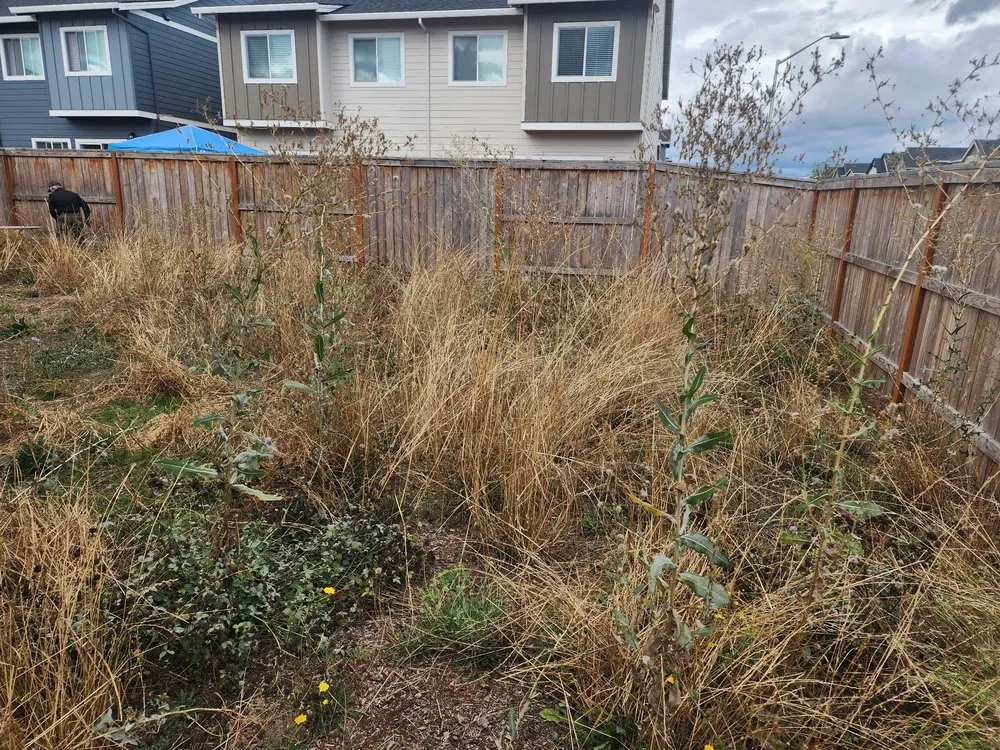 Custom residential landscaping in Beaverton, OR - Majestic Landscape and Contruction