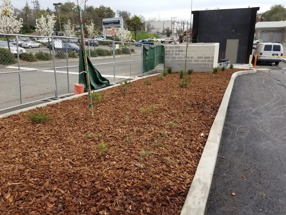 Top-rated lawn care service experts serving Colfax, CA - Majestic Landscape