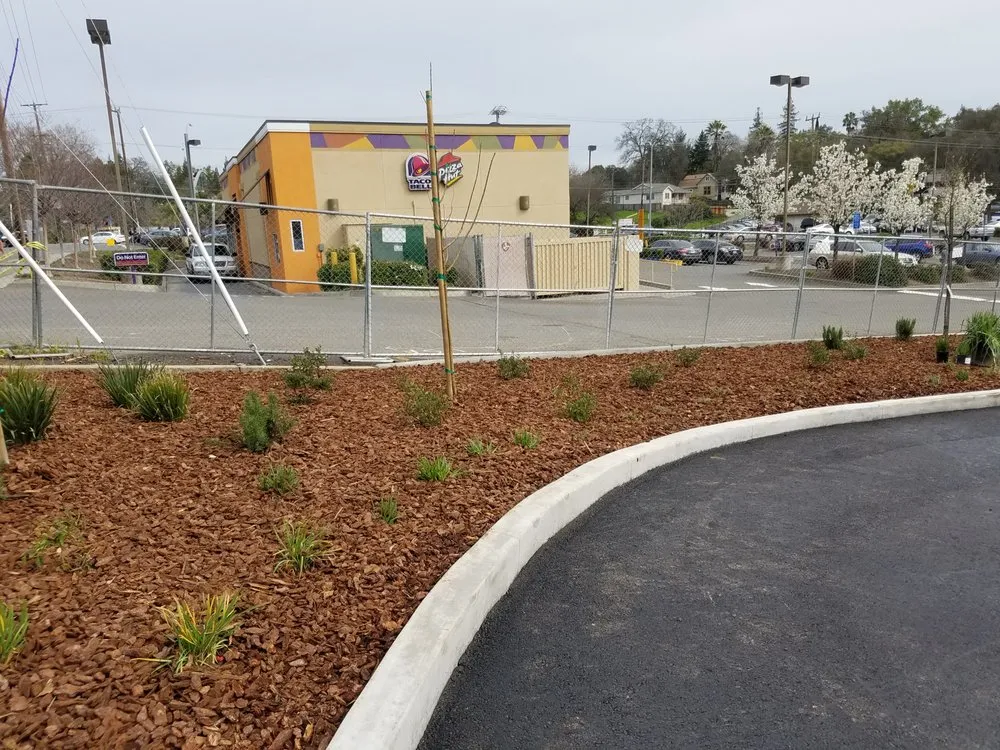 Trusted yard maintenance in Colfax, CA by Majestic Landscape