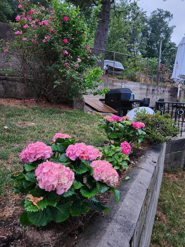 Top-rated residential landscaping for beautiful yards in New York, NY by Majestic Landscapes & Gardens