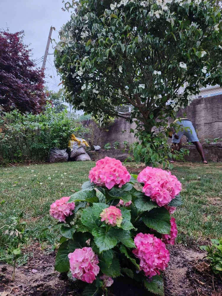 Local garden landscaping in New York, NY - Majestic Landscapes & Gardens