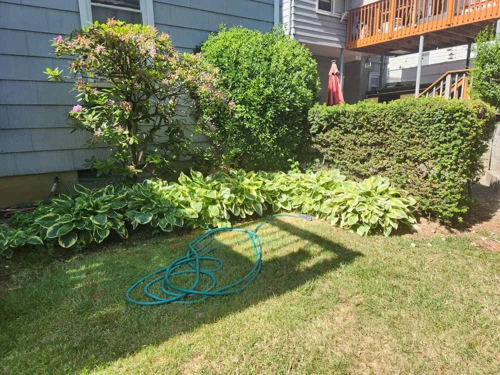 Affordable landscape installation in New York, NY - Majestic Landscapes & Gardens