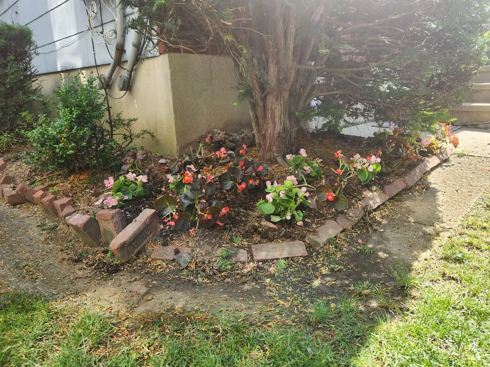 Expert yard maintenance near you across New York, NY - Majestic Landscapes & Gardens