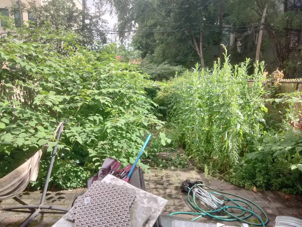 Professional landscape design in New York, NY by Majestic Landscapes & Gardens