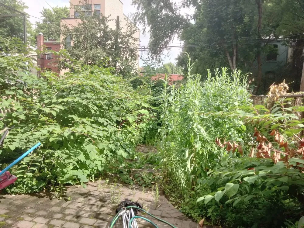 Trusted lawn mowing service for residential properties across New York, NY - Majestic Landscapes & Gardens