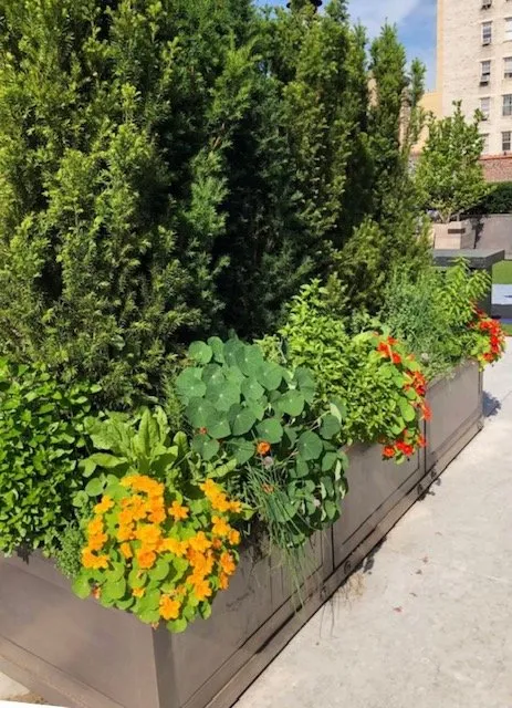 Expert landscape installation for outdoor upgrades in New York, NY by Majestic Landscapes & Gardens