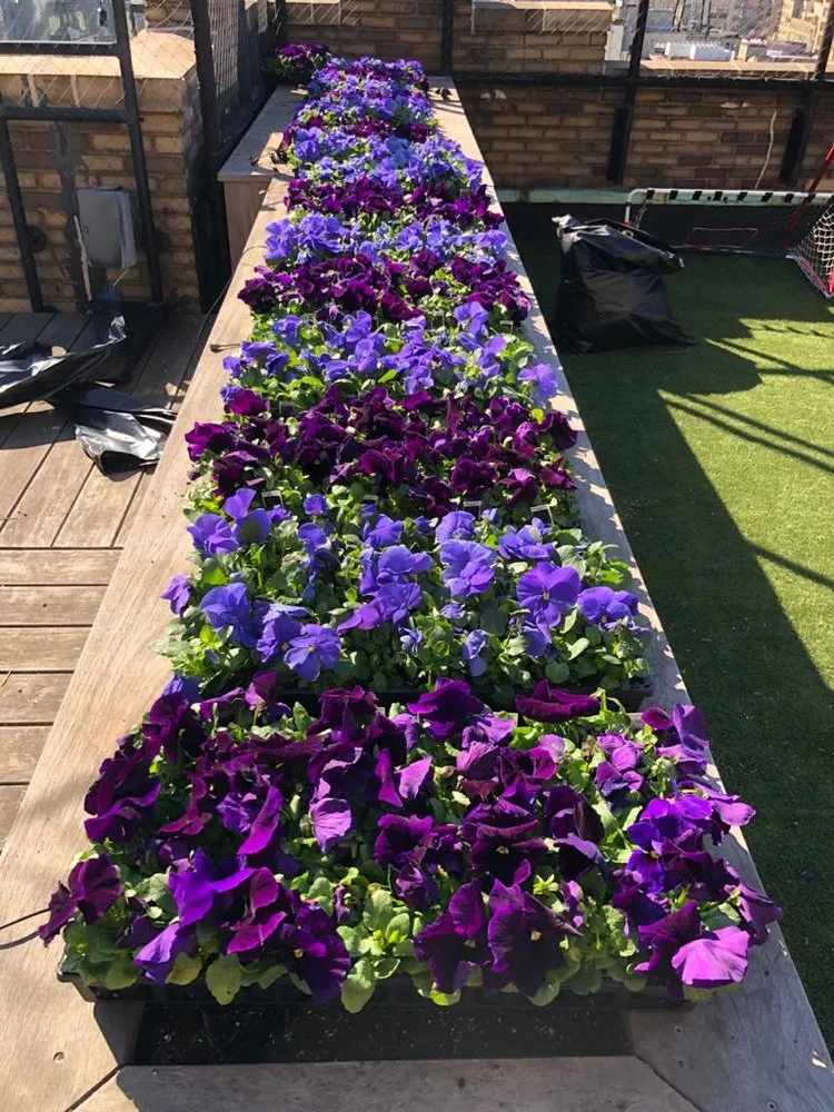 Affordable garden landscaping in New York, NY by Majestic Landscapes & Gardens