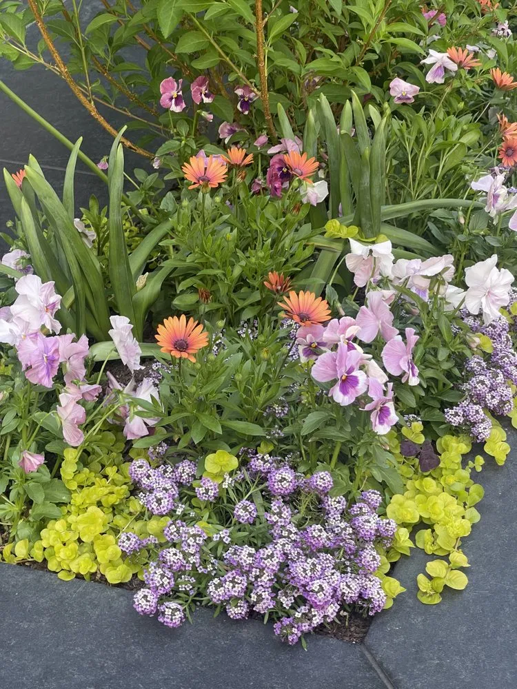 Expert yard cleanup service near you in New York, NY by Majestic Landscapes & Gardens