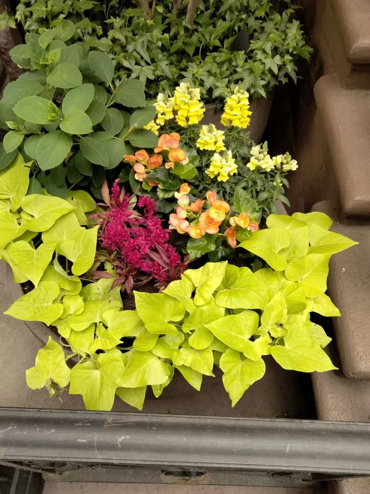 Affordable landscape design with custom design across New York, NY - Majestic Landscapes & Gardens