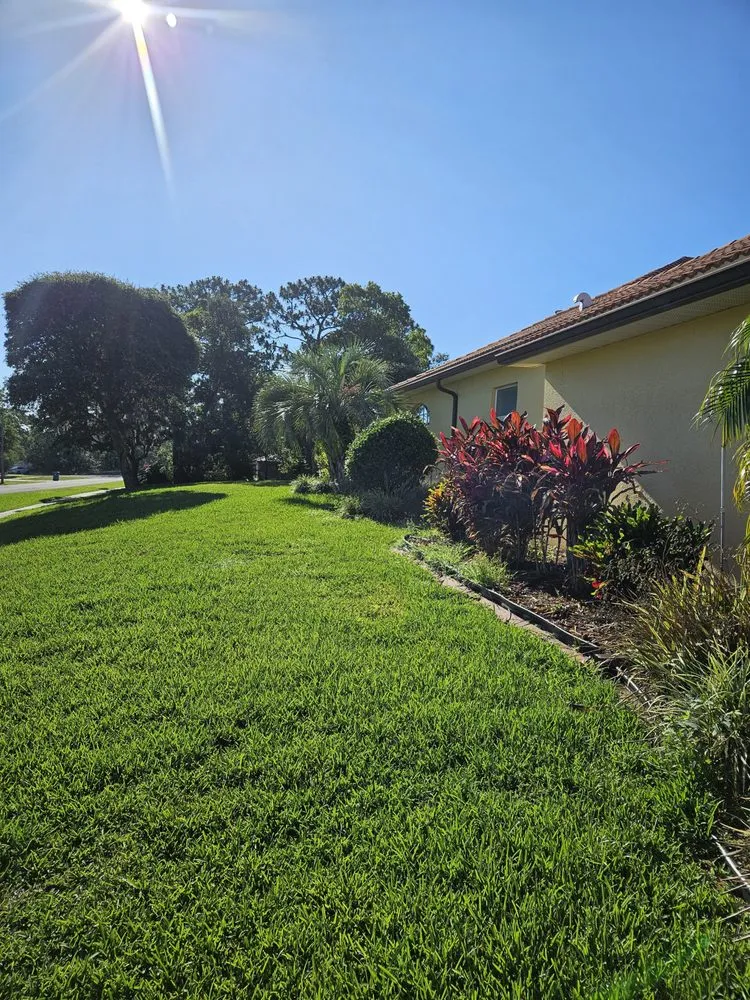 Expert yard maintenance for year-round maintenance across Spring Hill, FL - Majestic Landscapes & Maintenance